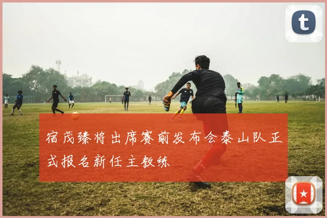 宿茂臻将出席赛前发布会泰山队正式报名新任主教练