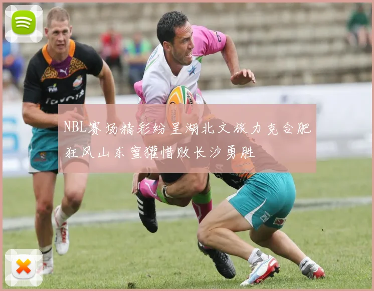 NBL赛场精彩纷呈湖北文旅力克合肥狂风山东蜜獾惜败长沙勇胜
