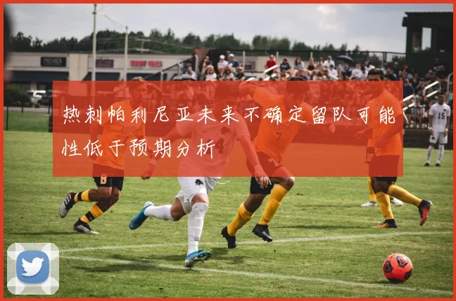热刺帕利尼亚未来不确定留队可能性低于预期分析